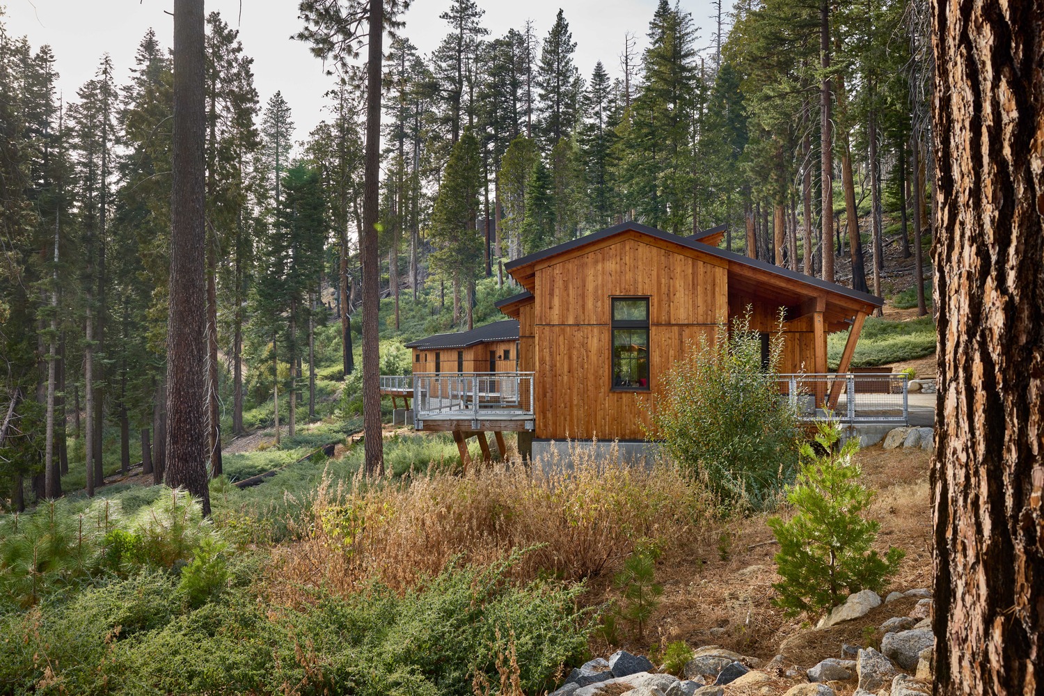 National Environmental Science Center